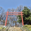 최정걸 장군 묘 이미지