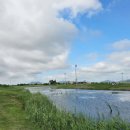 서해그린골프연습장 | 로얄링스cc 1박 2일 국내 골프여행 패키지 상세 안내