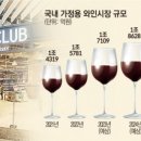 롯데와인현대백화점 이미지