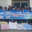 고산카페트