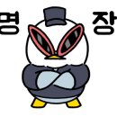 아레나유도멀티짐 이미지