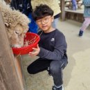 (주) 빨간목장 이미지