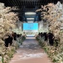 다이너스티 웨딩뷔페 이미지