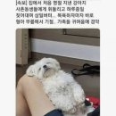 [9월 일기] 화장품 한달 일기 6편