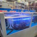 온천인정시장 이미지