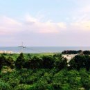 바닷가돌빌레 이미지