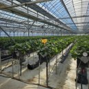 군위경찰서 화장실 이미지