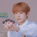 위시포포