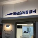 바로슬동물병원 이미지