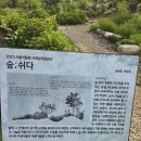 서울식물원/숲;쉬다 이미지
