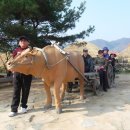 (주)여행담 이미지