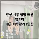 솔로몬워시 | 정말 영해졌던 시간, 배곧피부샵, 보습관리갑, 혜자스러웠던 체험 [ 영뷰티 ] 강!강!추천~ ☆