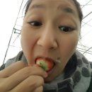 노산농장 이미지