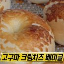 브레드누아젯 이미지