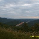 용천목장 Daum카페