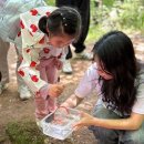 파크 하얏트 부산, 부산 아쿠아리움 및 구서초등학교와 함께 도롱뇽 보전활동 시행 이미지