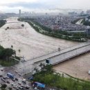 하천(갑천5-1) 이미지