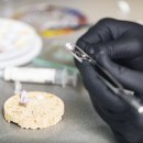 가야치과기공소 이미지