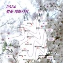 벚꽃화장실 이미지