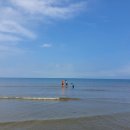 스포츠 아이 수영장 이미지