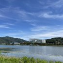 삼교리동치미막국수 화천점 이미지