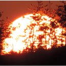 증도해뜨는 이미지