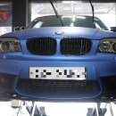 (BMW E82 1M) FERODO DS3000 패드교환 + YACCO BVX LS1000 75W-140 이미지