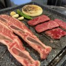 바이소