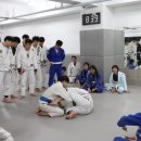 주짓수 쎈짐 이미지