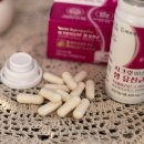 유래가든 | 생유산균으로 장건강 챙긴 하이헬스 시크릿 이너가든 후기