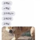 우리개 우리냥이 이미지