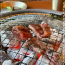 소소화 이미지