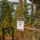 현대25써비스 | 더현대서울 크리스마스 빌리지 4차 사전예약 방법 + 현장 웨이팅 방문 후기