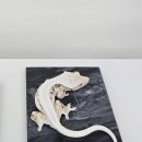 안심브리더