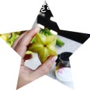 용하농장 | 사이판 정글투어 타포차우, 제프리스 비치, 산타 루데스, 과일농장