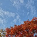 응암공영주차장 개방화장실 | 서울대 안양수목원 개방 평일 방문후기 주차정보 주의할점