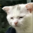 구두쟁이 | [Gear] #113. 처치스 키링 _ 회사 후배의 감사한 선물