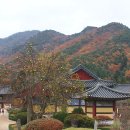 운문사 - 1733 | 운문사
