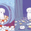 주식회사 펫프로젝트 이미지