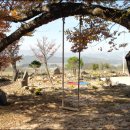 대곡1구 이미지