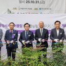 강서구-52 이미지