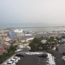 산하춘 이미지