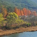 상황오토캠핑장 이미지