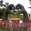 오이도해양공원 이미지