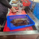 뉴팔레스빌 | [충남 태안군] 근흥면 신진항 산오징어 전문점(회, 물회, 통찜) 형제수산