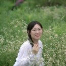 초록스냅