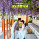 합도초교 | 충남 당진 합도초등학교 등나무꽃 가볼만한곳 데이트 코스