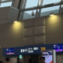 (주)호텔카리스소셜클럽 | 2025 도쿄 여행) 1일차 롯폰기, 아오야마 더 클럽하우스 팝업스토어, 돈가스