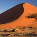 나미브(NAMIB) 네이버블로그