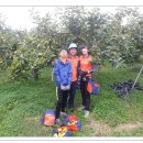 풍천대봉감농원 이미지